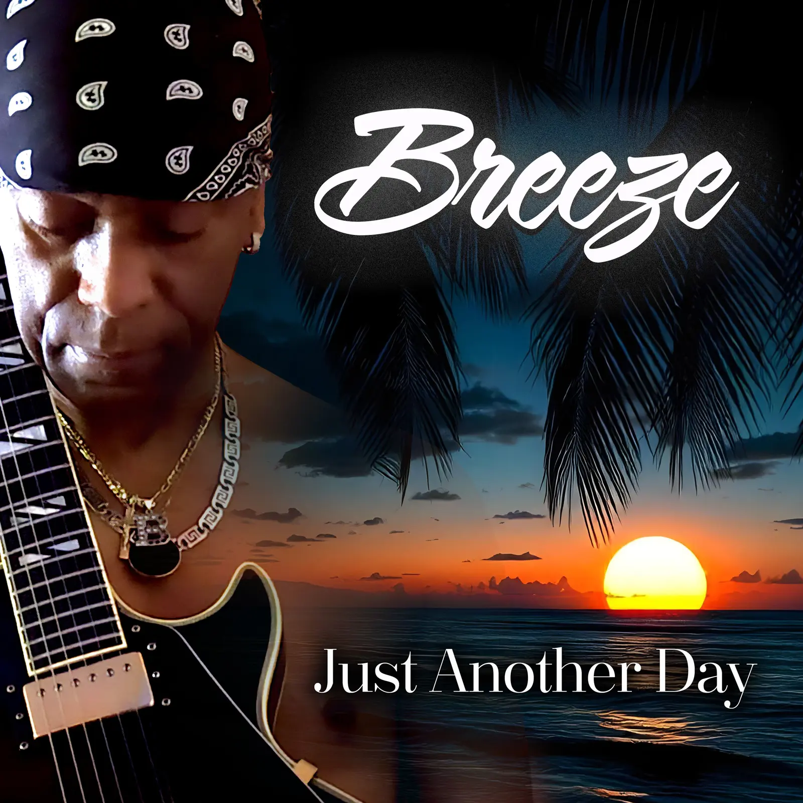 Breeze - Just Another Day. CD album record.